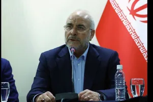Iran’s parliament submits law on suspending IAEA cooperation to govt: Speaker